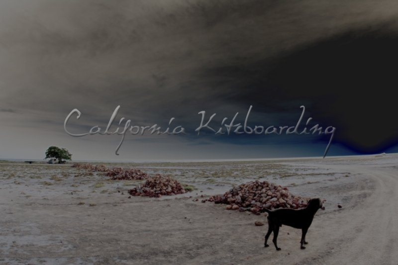Isla de Coche