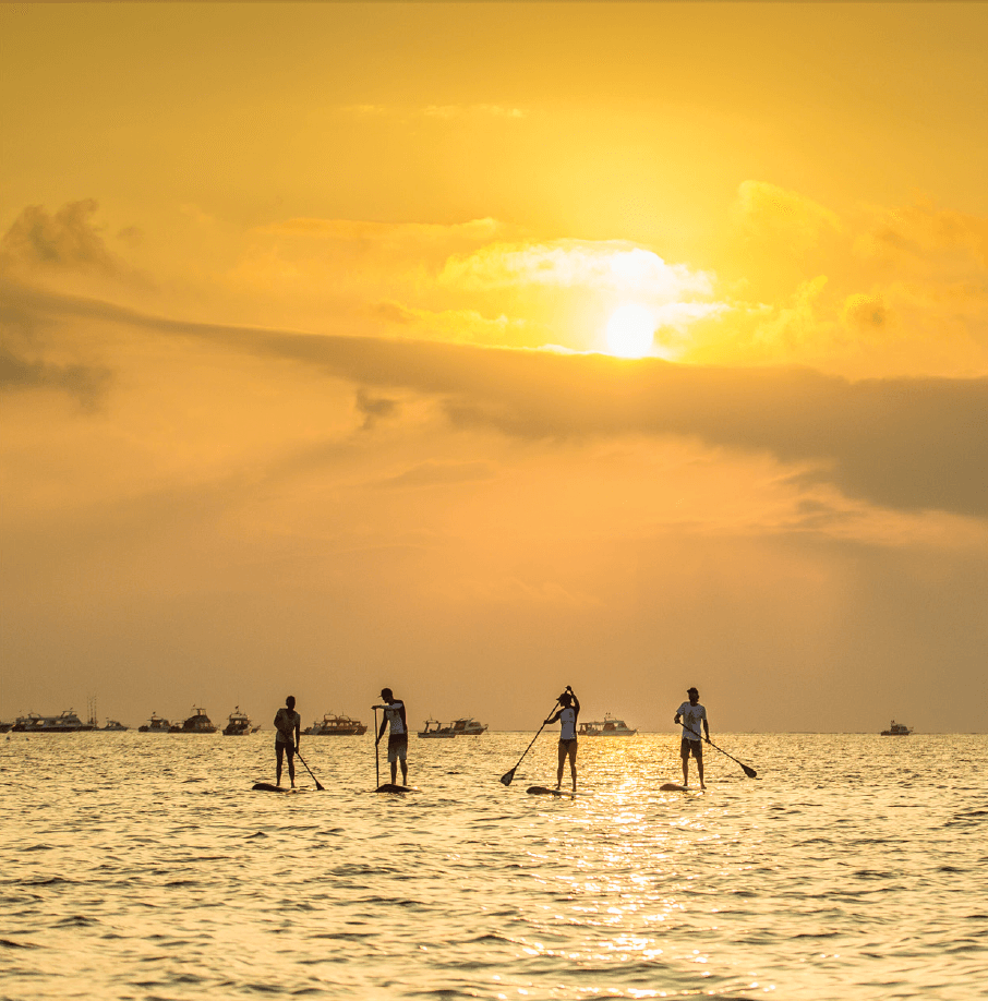 2017 Starboard Sneak Peek: All Around and Surf